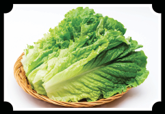 Lettuce to Wrap Lettuce to Wrap